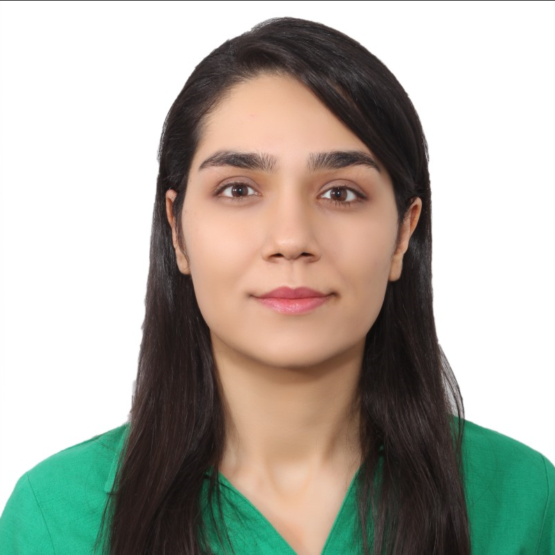 Picture of Negar Monir